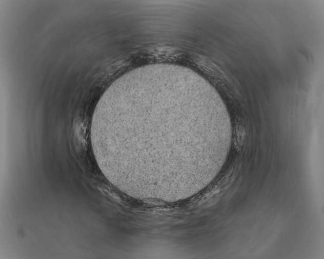 X0000111421010200908101051