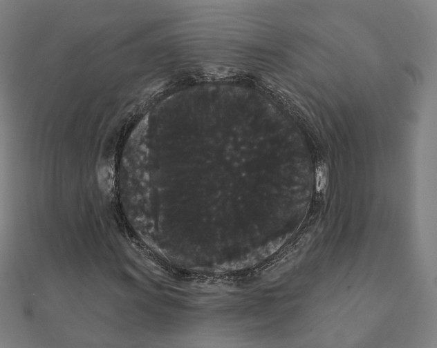 X0000111421011200908101051