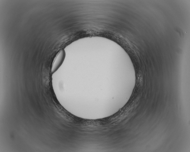 X0000111421012200908101051