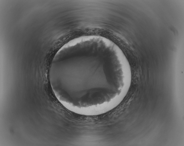 X0000111421013200908101051