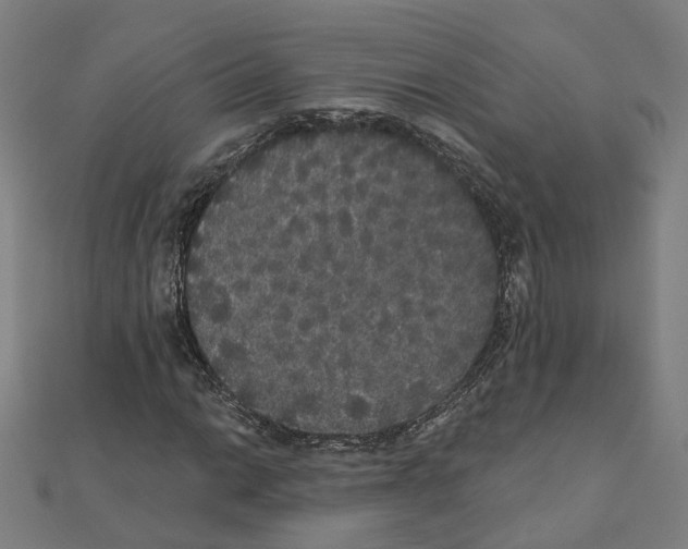 X0000111421014200908101051