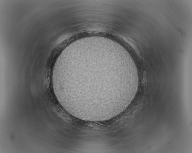 X0000111421015200908101051