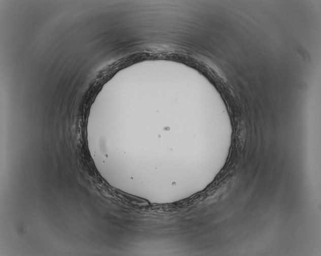 X0000111421016200908101051
