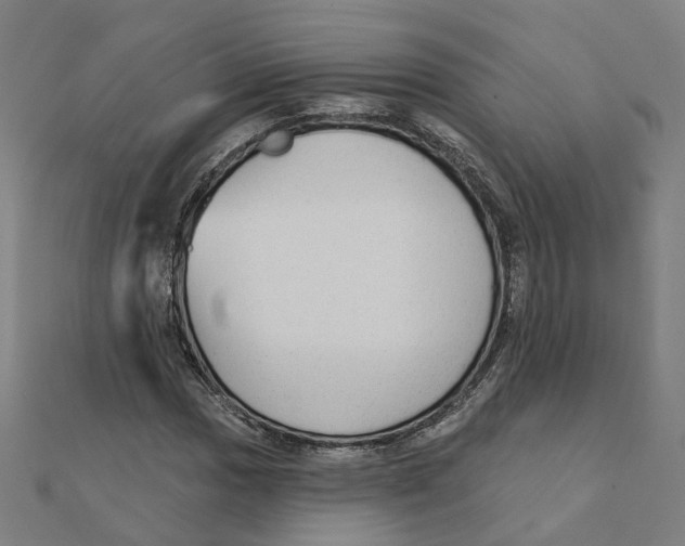 X0000111421017200908101051