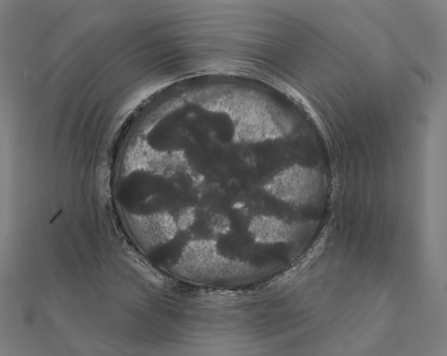 X0000111421019200908101051