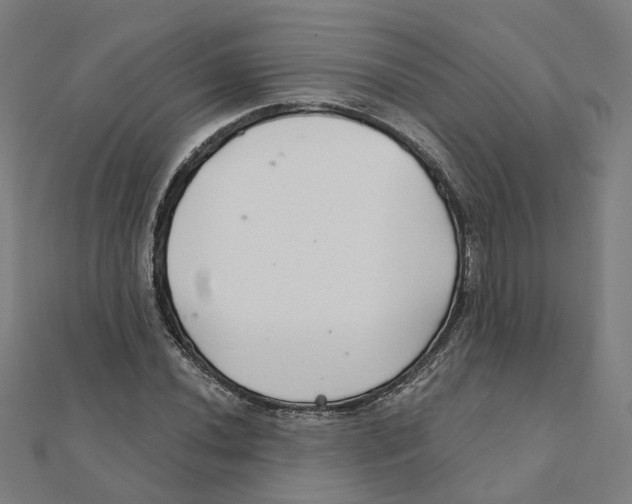 X0000111421020200908101051
