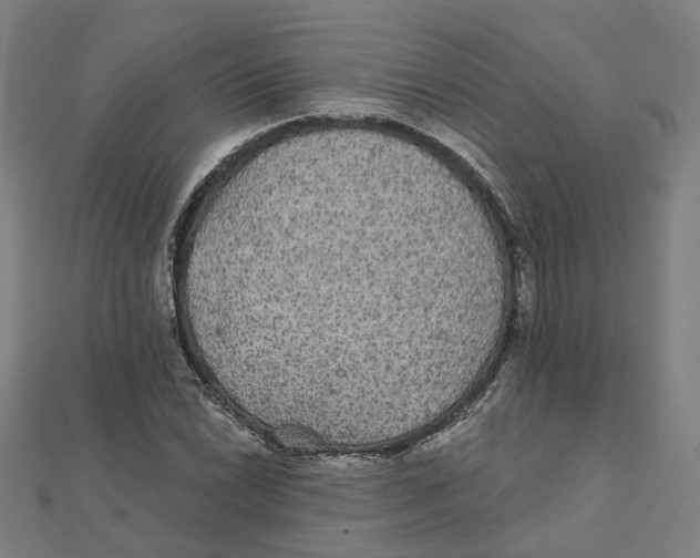 X0000111421022200908101051
