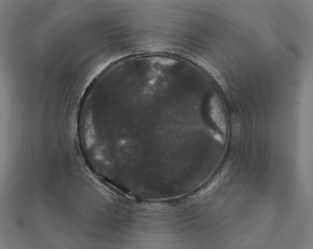 X0000111421023200908101051