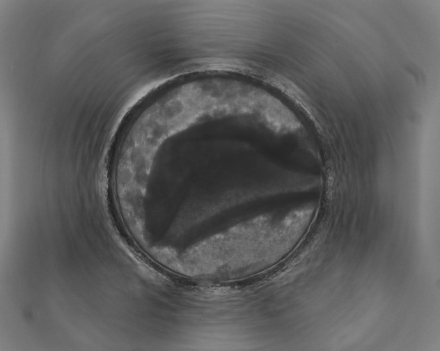 X0000111421024200908101051