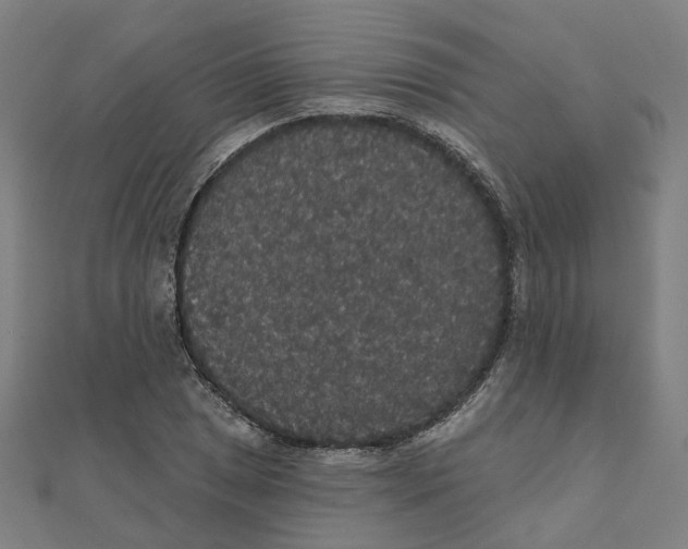 X0000111421025200908101051