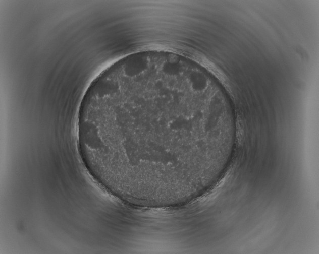 X0000111421028200908101051