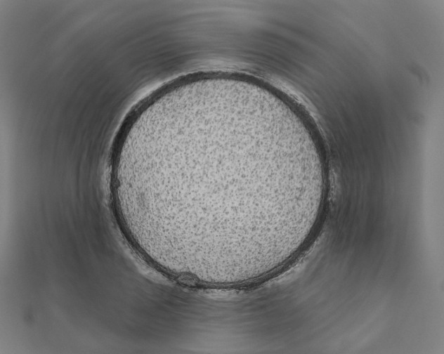 X0000111421029200908101052