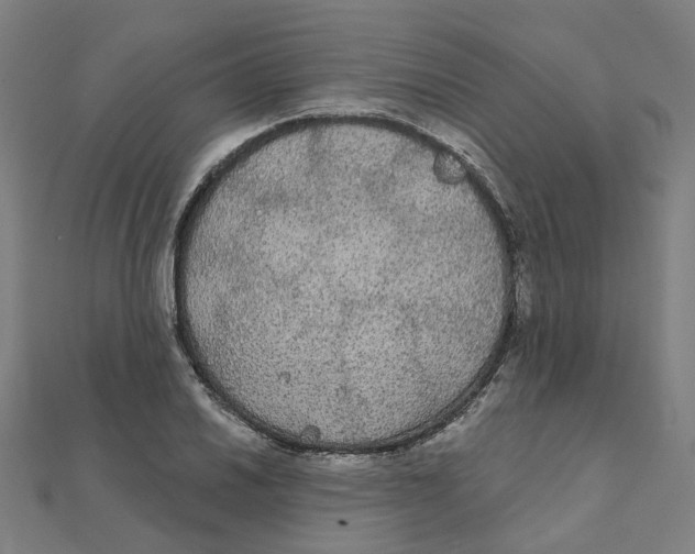X0000111421030200908101052
