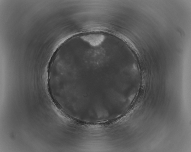 X0000111421031200908101052