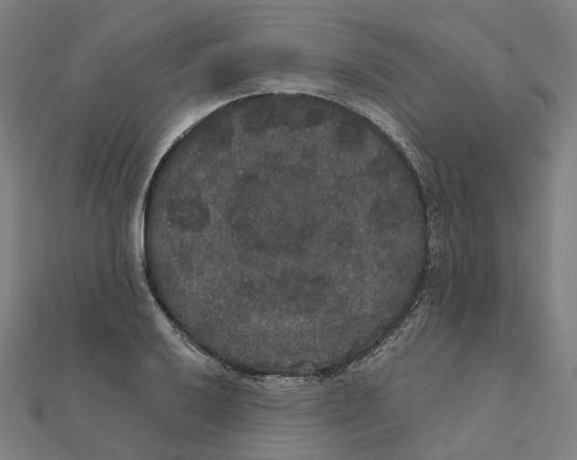 X0000111421032200908101052