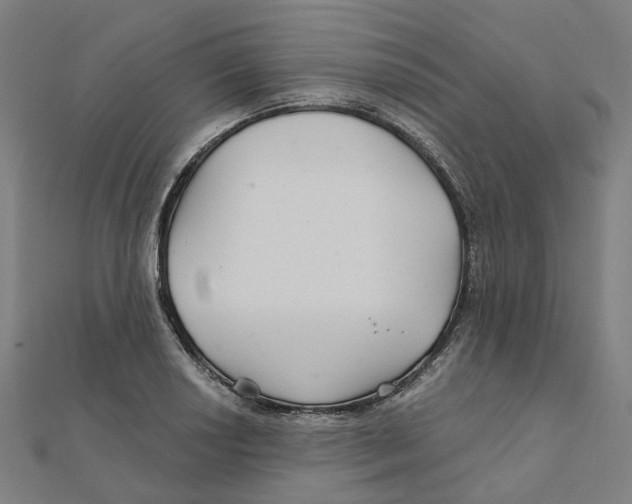 X0000111421034200908101052