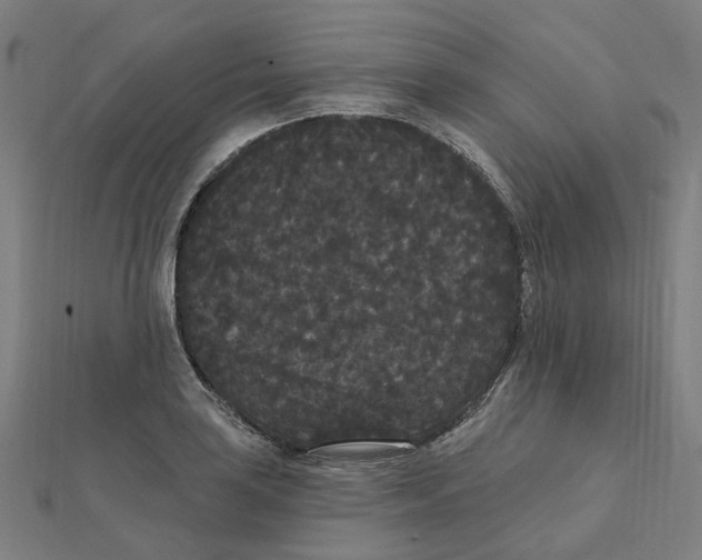 X0000111421035200908101052