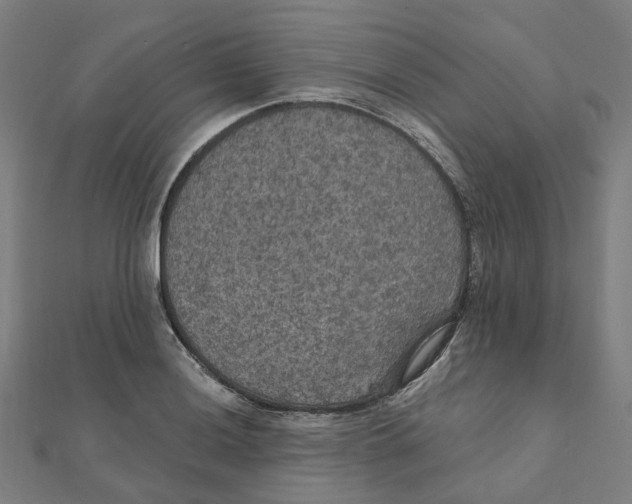 X0000111421036200908101052