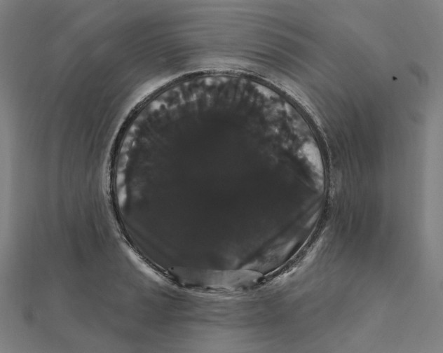 X0000111421037200908101052