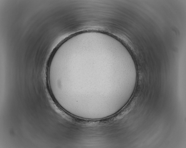 X0000111421038200908101052