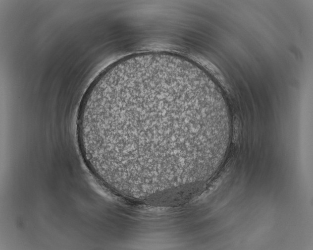 X0000111421039200908101052