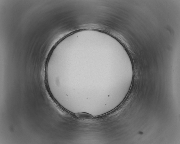 X0000111421040200908101052