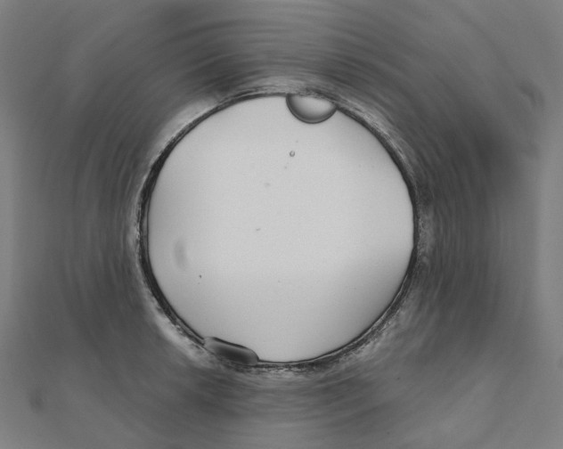 X0000111421042200908101052