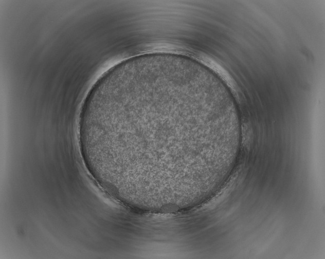 X0000111421043200908101052