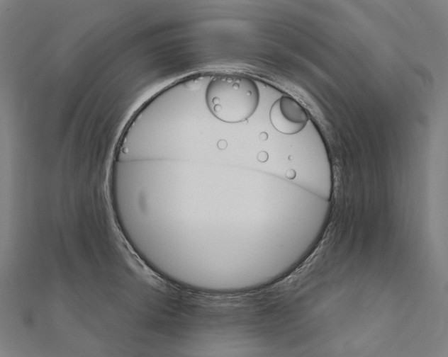 X0000111421044200908101052