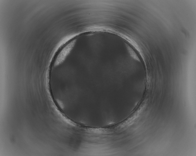 X0000111421045200908101052