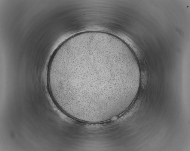 X0000111421046200908101052