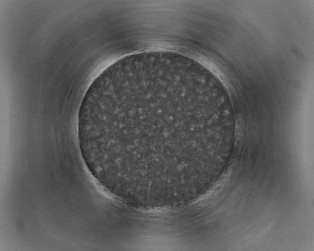 X0000111421047200908101052