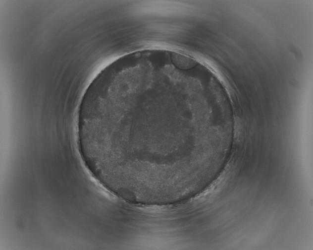 X0000111421048200908101052