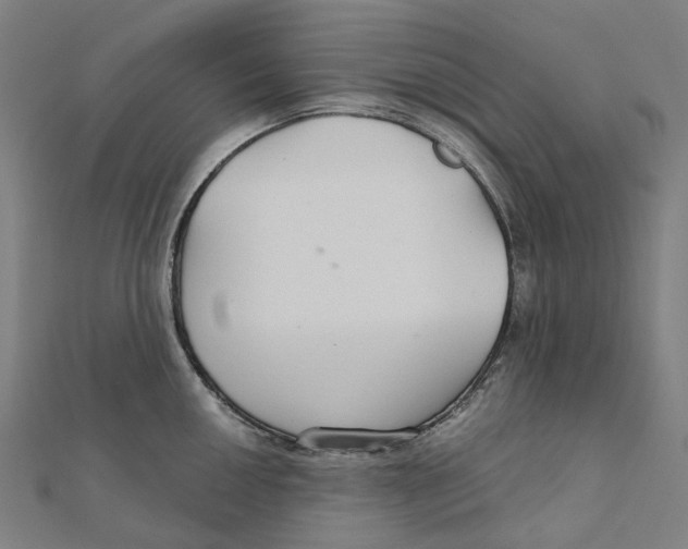 X0000111421050200908101052