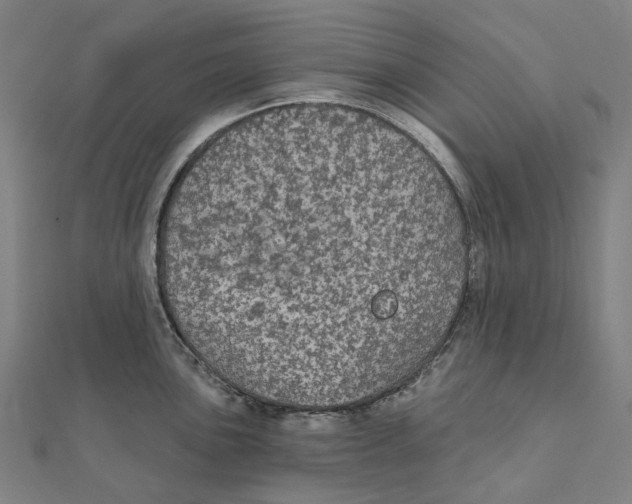 X0000111421051200908101052