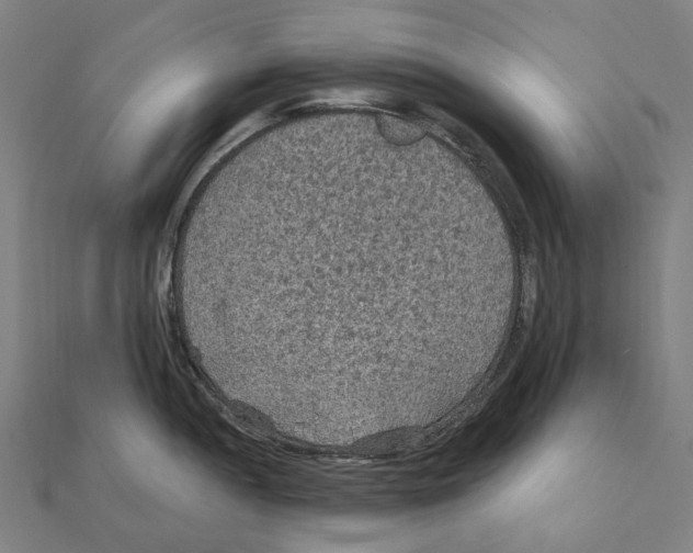 X0000111421052200908101052