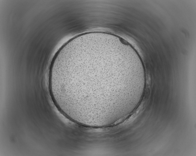 X0000111421054200908101052