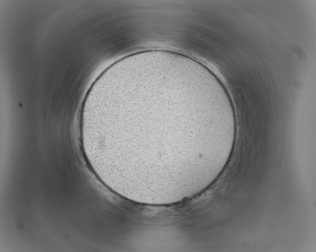 X0000111421056200908101052