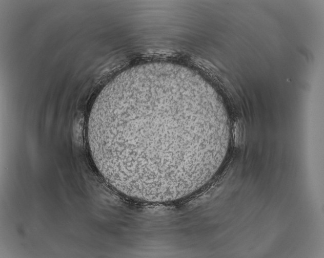 X0000111421059200908101051