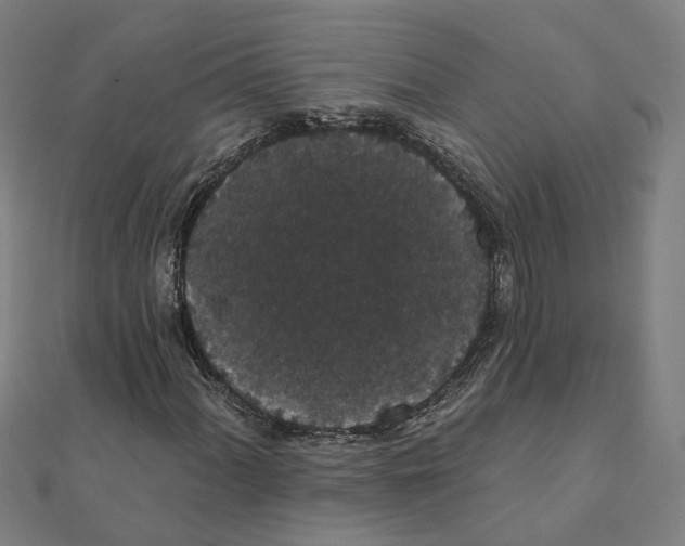 X0000111421060200908101051