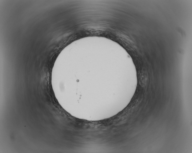 X0000111421061200908101051