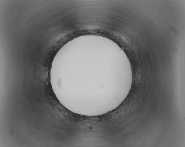 X0000111421062200908101051