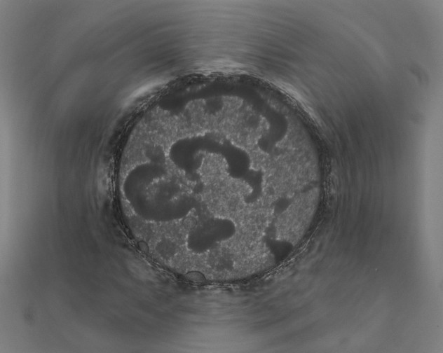 X0000111421063200908101051