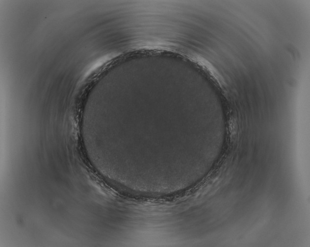 X0000111421064200908101051