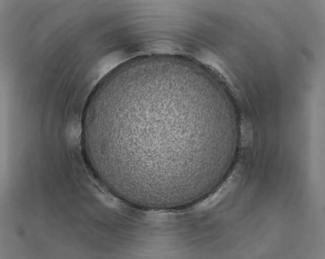 X0000111421065200908101051