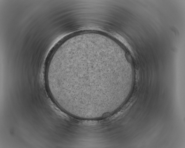X0000111421068200908101051