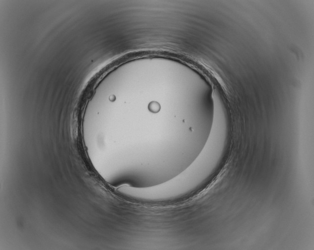 X0000111421069200908101051