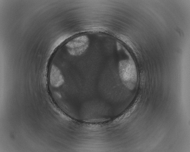 X0000111421071200908101051