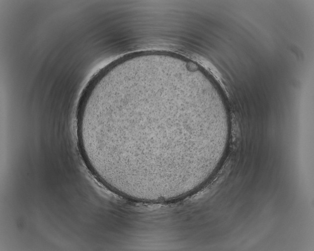 X0000111421072200908101051