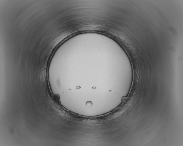 X0000111421073200908101051